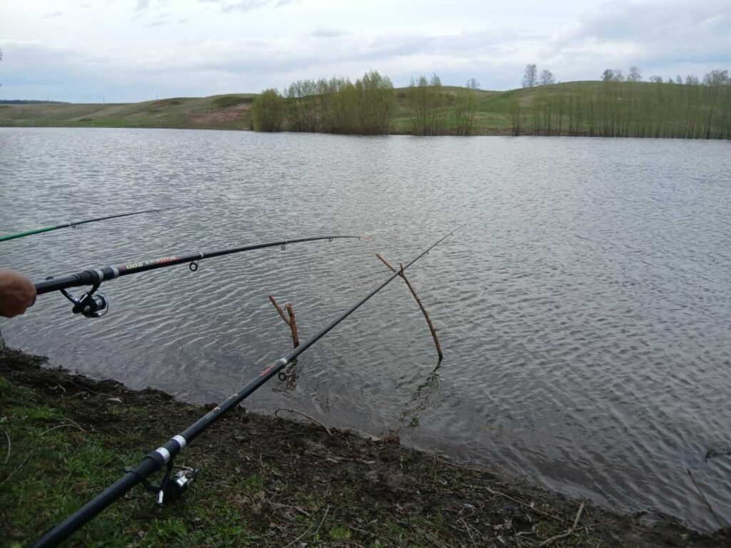 Выбор места для ловли карпов весной