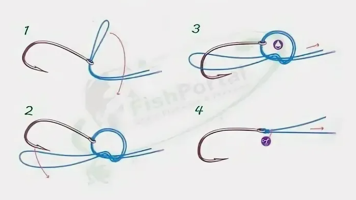 Palomar: быстро, крепко, понятно