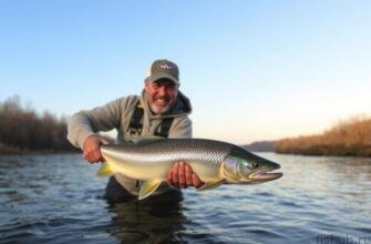 Холодная вода, тёплые руки: как подружиться с хариусом и не спугнуть удачу
