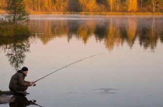 Осенняя рыбалка на щуку на рассвете: сплит-кадр, рыболов на берегу, коробка с приманками, под водой щука готовится атаковать приманку у кромки камыша.