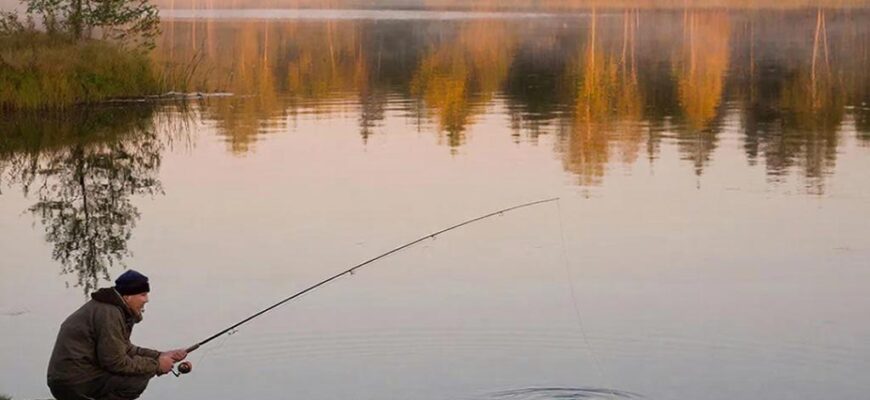 Осенняя рыбалка на щуку на рассвете: сплит-кадр, рыболов на берегу, коробка с приманками, под водой щука готовится атаковать приманку у кромки камыша.