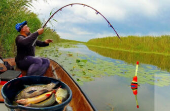 ловля уклейки на поплавочную удочку
