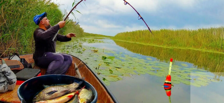 ловля уклейки на поплавочную удочку