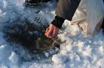 Как подобрать зимнюю прикормку для плотвы