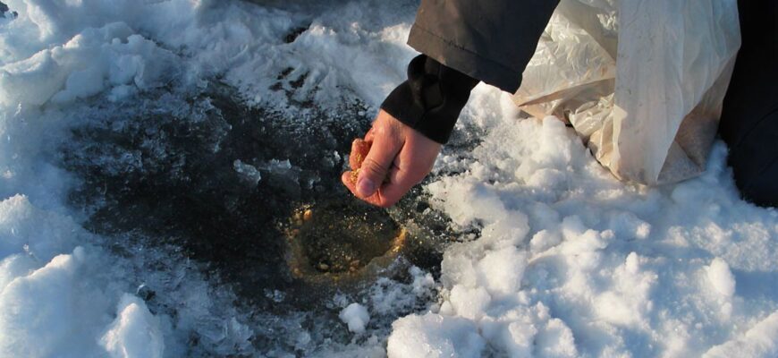 Как подобрать зимнюю прикормку для плотвы