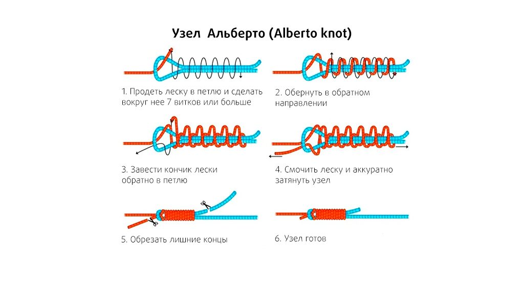 Албрайт и Альберто