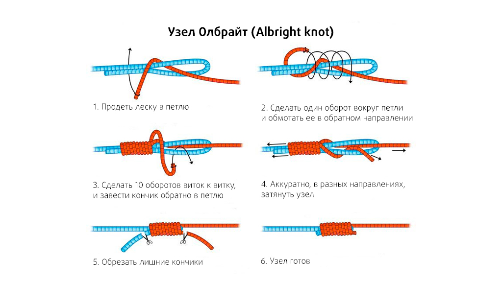 Албрайт и Альберто