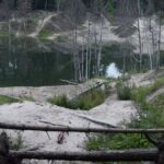 Купавнинский залив (Ногинский район)