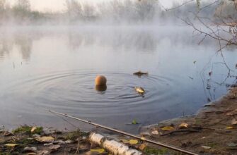Весенняя ловля карася на тихом пруду на рассвете: поплавок тонет в воде среди камышей и легкого тумана.