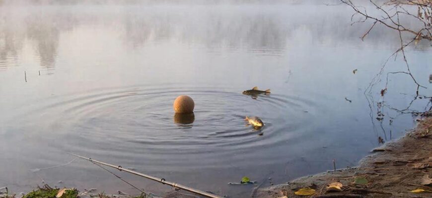 Весенняя ловля карася на тихом пруду на рассвете: поплавок тонет в воде среди камышей и легкого тумана.