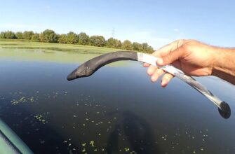 ловля сома на квок с лодки