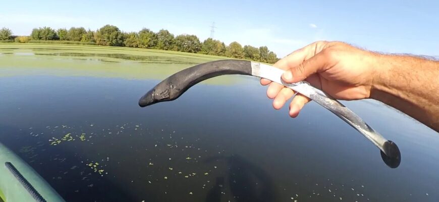 ловля сома на квок с лодки