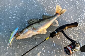 Зимняя рыбалка на судака