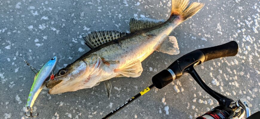 Зимняя рыбалка на судака