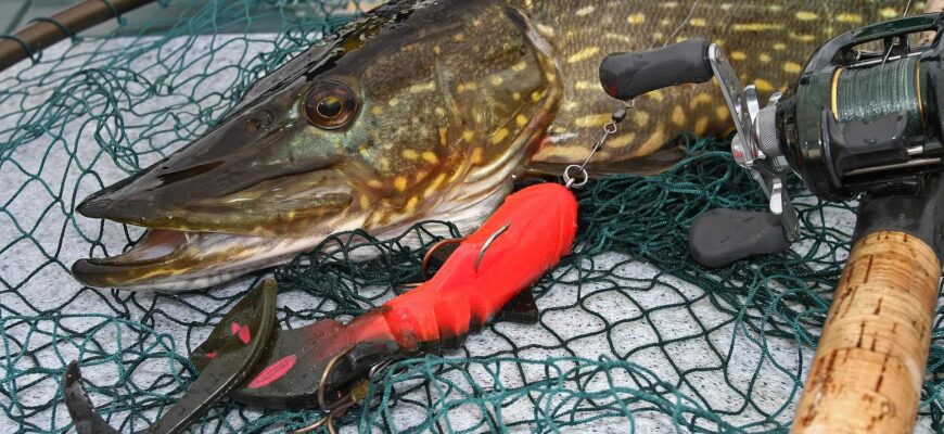 Лучшие приманки для щуки