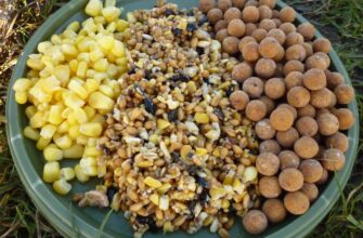 прикормка для карпов