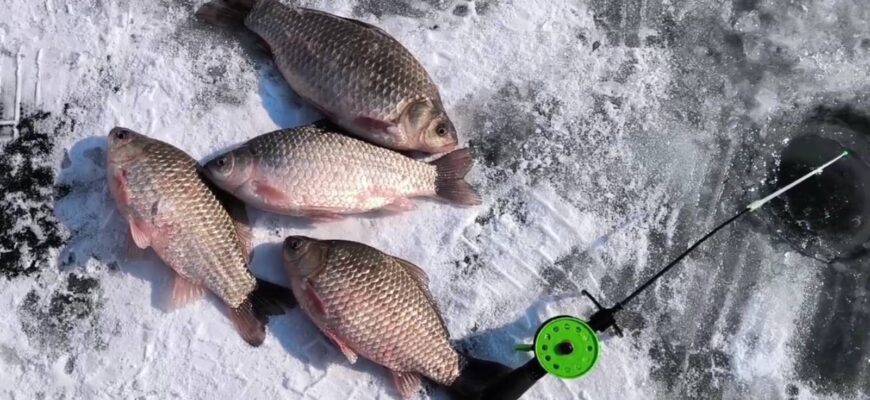 на что ловить карася зимой