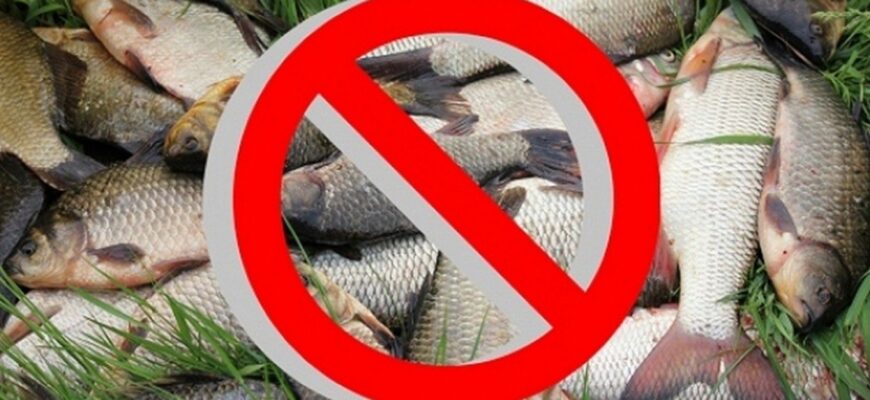 Запрет на рыбалку 2026