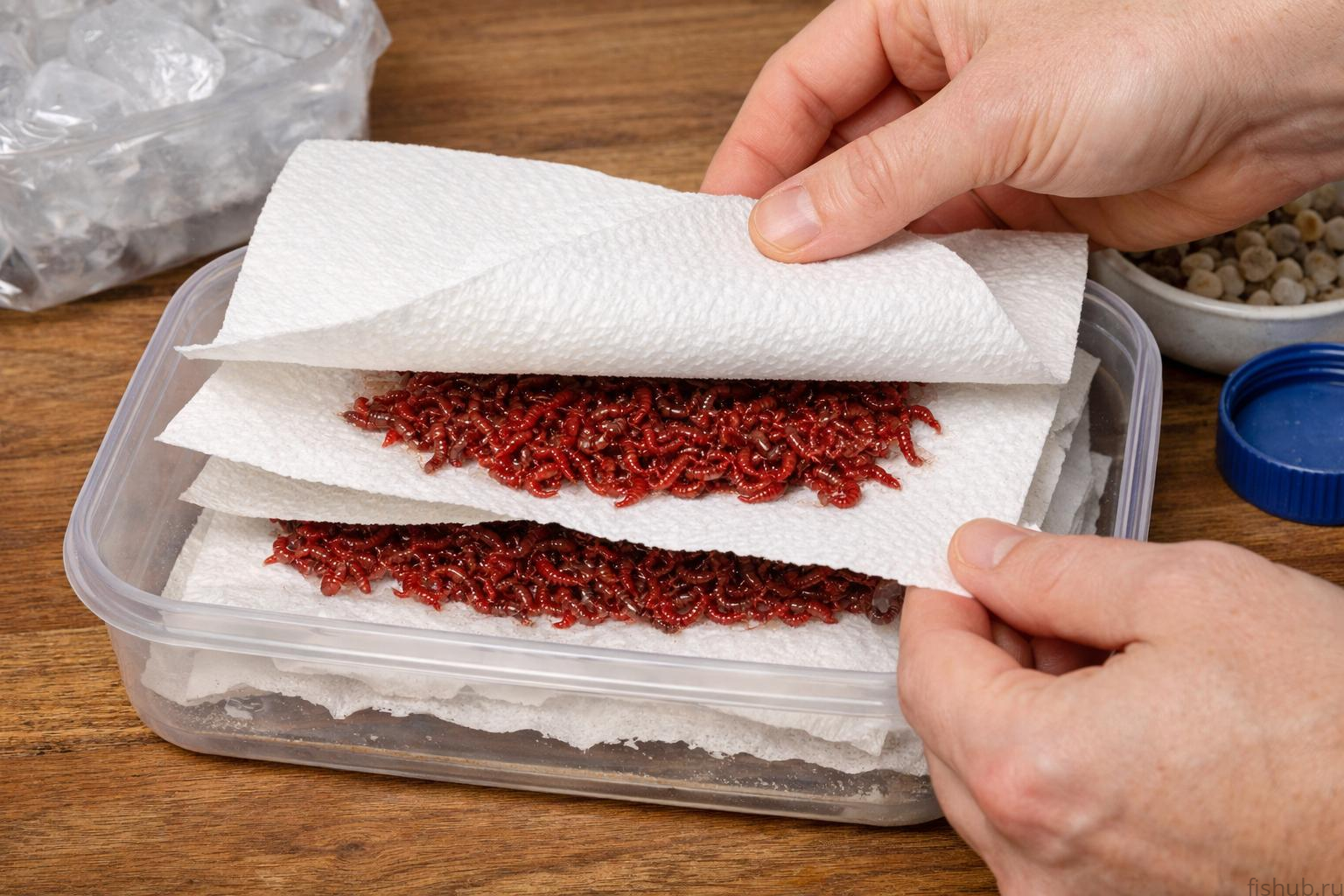 «Сэндвич» из бумажных полотенец